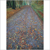 duetart - Yunong Wang